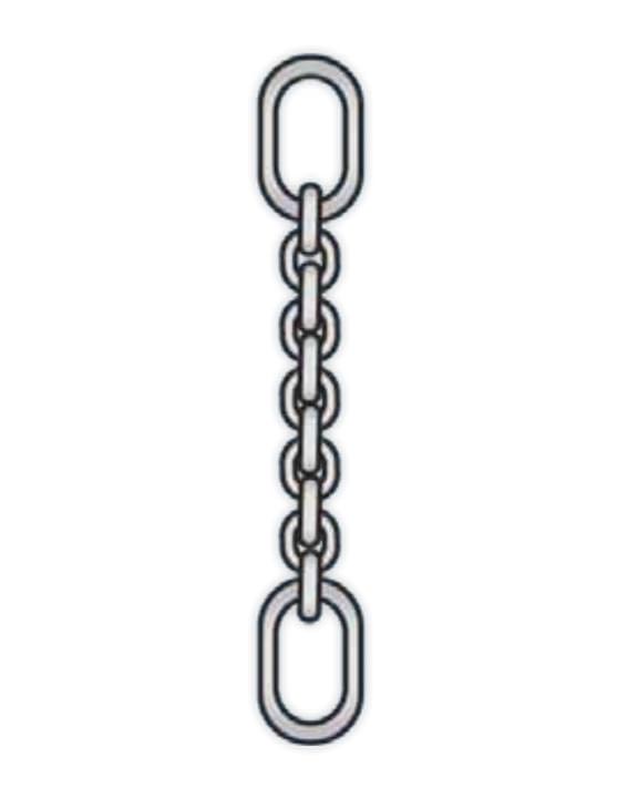 Carter Link Chain Single Chain Sling with Master Link and Sling Hook - Carter Lifting